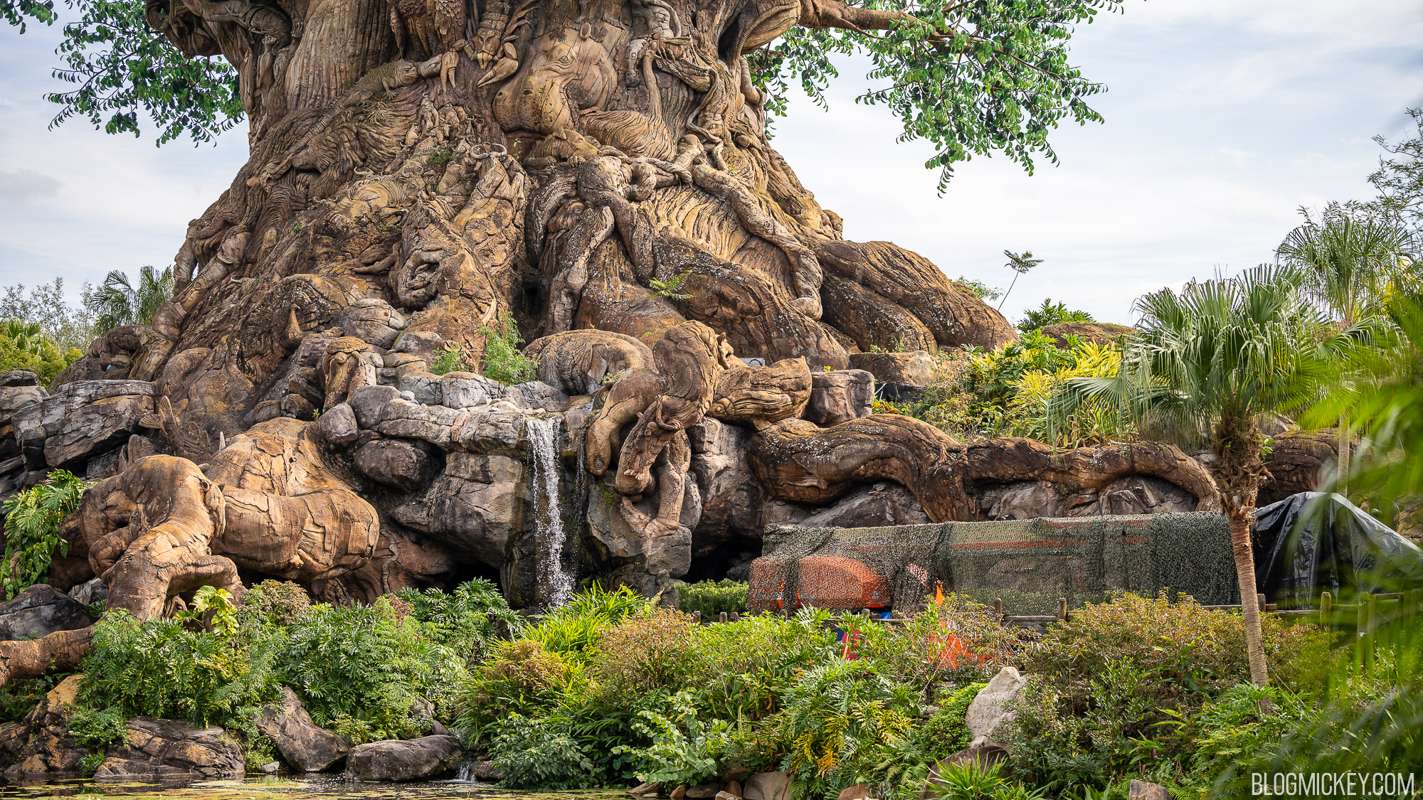 Talking Tree Disney Is The Tree Of Life At Disney Real