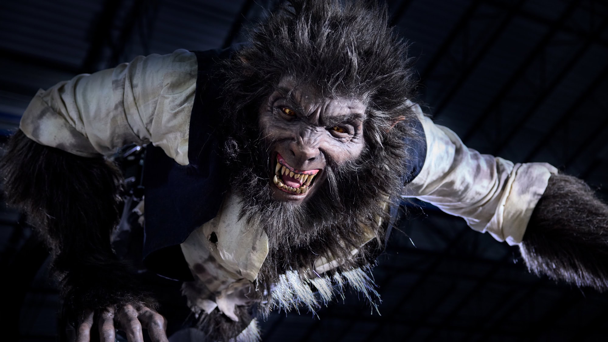 Epic Universe Wins Top Dark Ride Honor at 2026 Golden Ticket Awards - News Directory 3