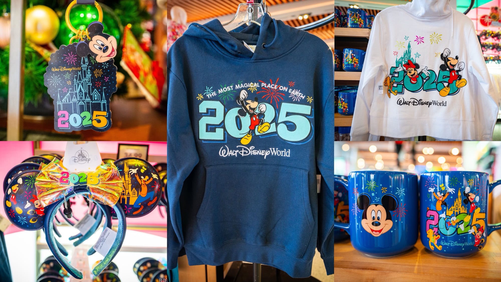 Walt Disney World 2025 Merchandise (Photos & Prices)