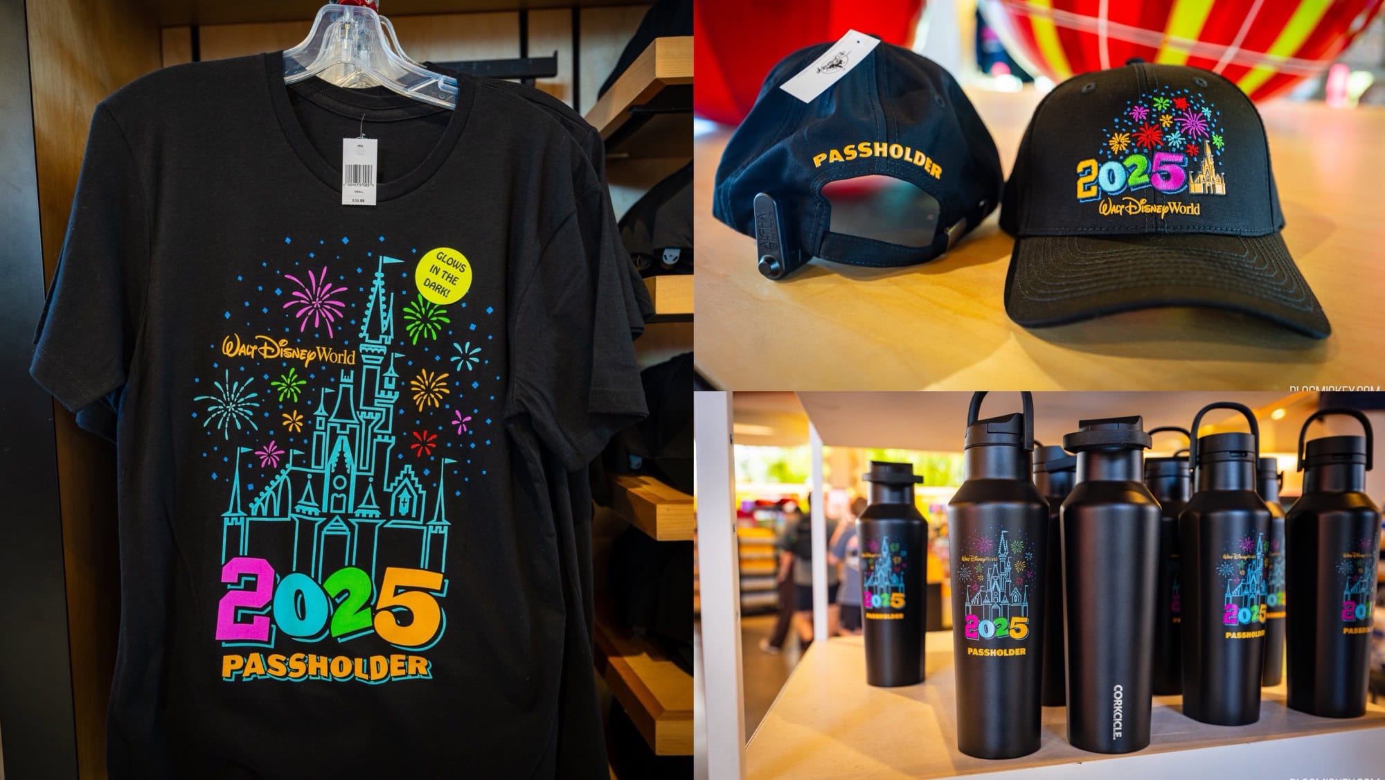 Disney‎ Passholder Hat 2025 Walt Disney World New 2025 Walt Disney World Annual Passholder Merch | The DIS main image 4