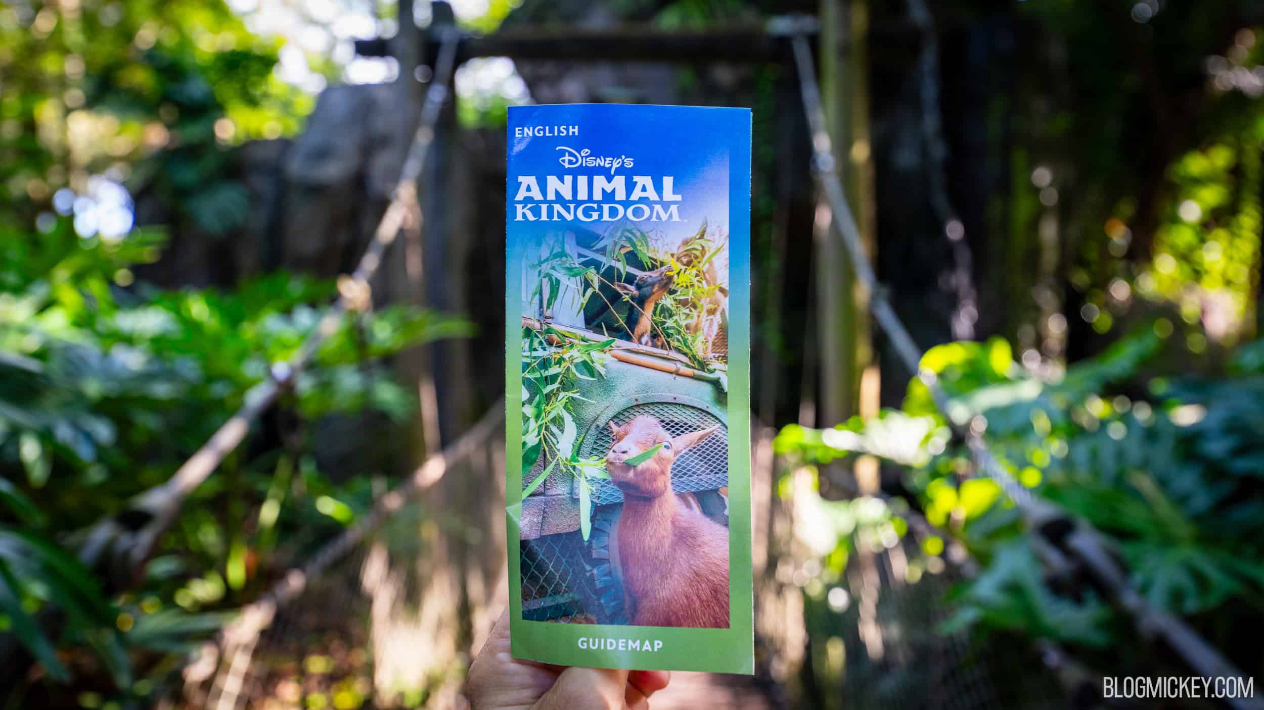 GUIDE TO ANIMAL KINGDOM 2025 visual data 6