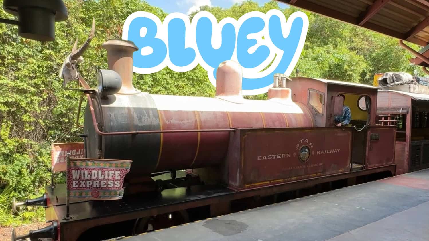 Bluey Audio Now Playing on Wildlife Express Train at Animal Kingdom