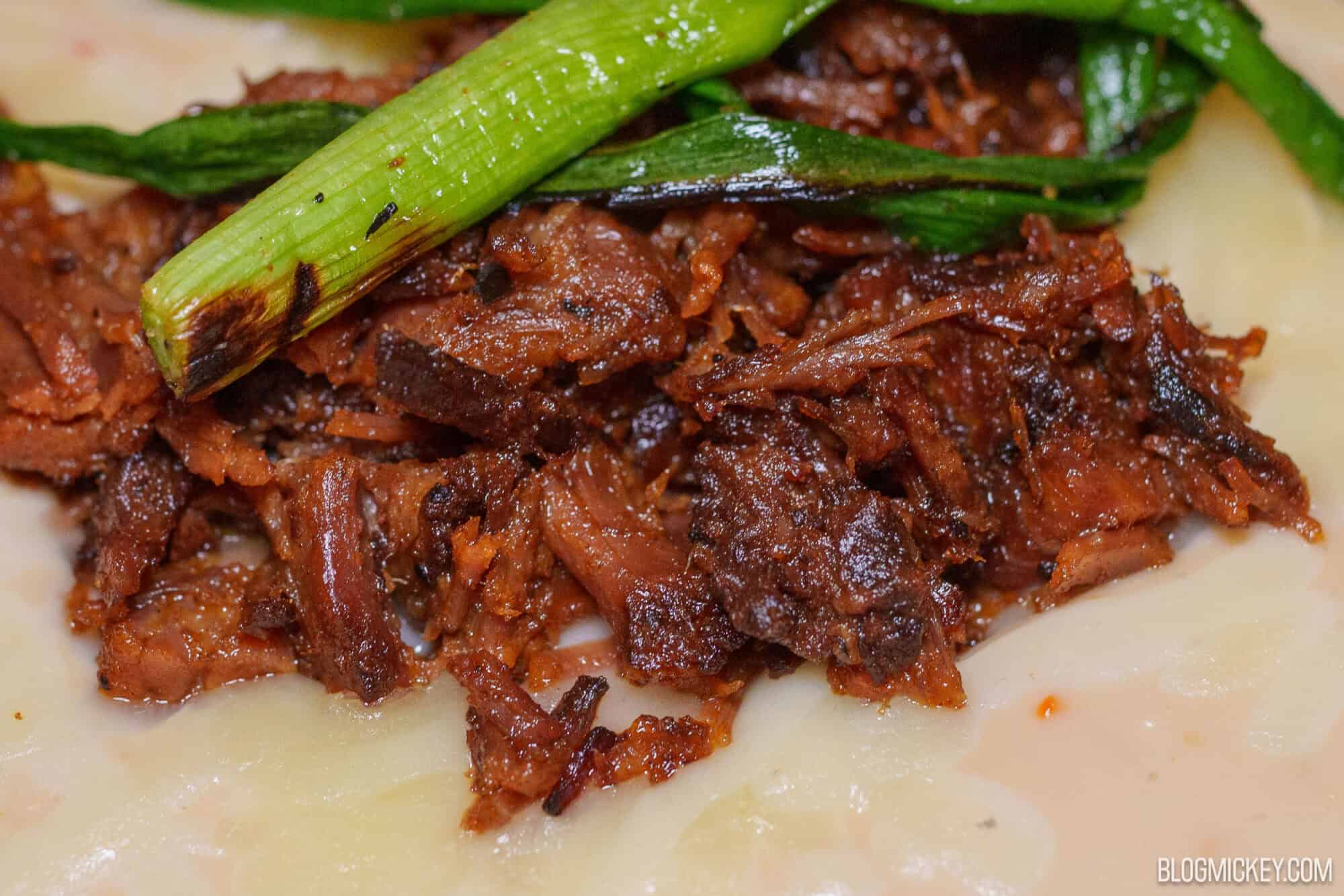 Tender shredded beef topped with green onions, served over mashed potatoes at Disney World.