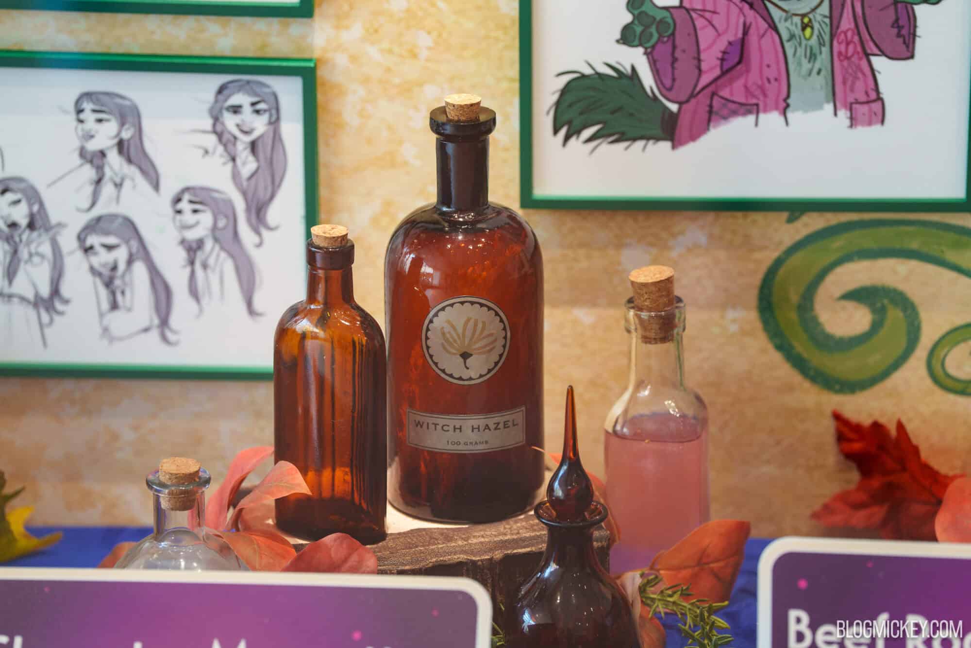 Display of enchanted potion bottles and character sketches at Hollywood Studios exhibit.